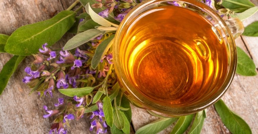 tisana di salvia preparazione